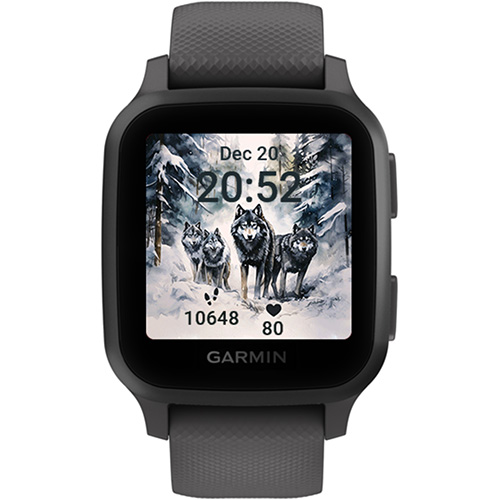 Winter Wolf · Screenshot 3