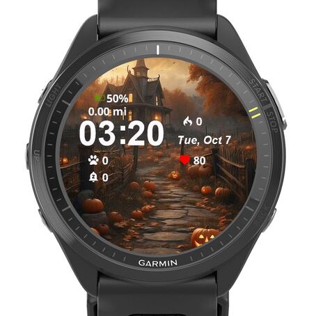 Halloween Pumpkins · Screenshot 0