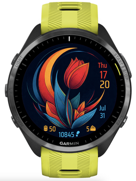 Tulip · Screenshot 0