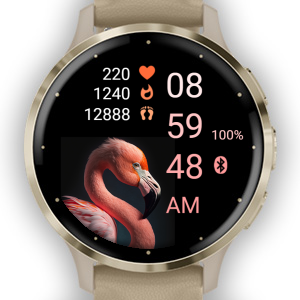 Bird - Flamingo · Screenshot 4