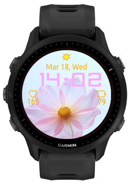 Gesang Flower · Screenshot 1