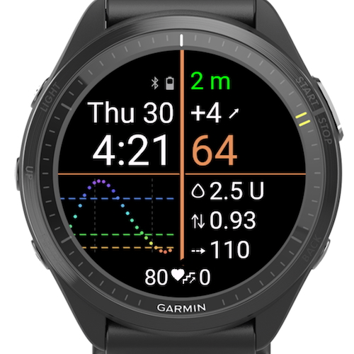Trio Swissalpine Watchface · Screenshot 2