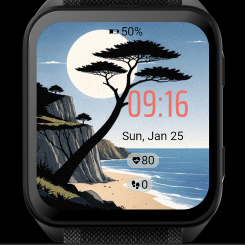 Moonlit Coast 4