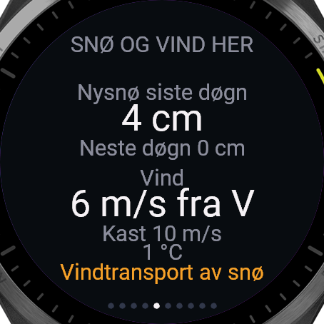 Skredvarsel for randonée og topptur · Screenshot 3