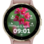 Bloom Bougainvillea HD · Screenshot 0