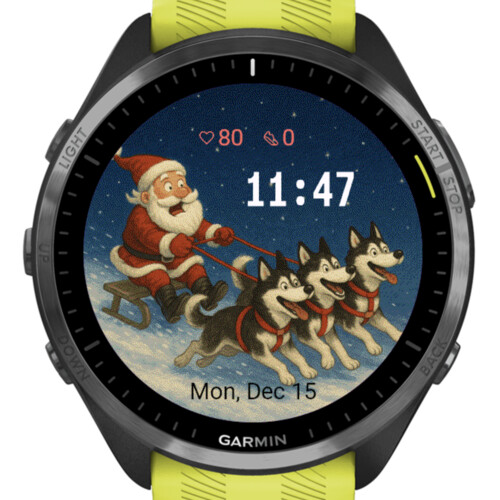 Santa with husky · Screenshot 2