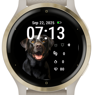 Black Dog · Screenshot 1