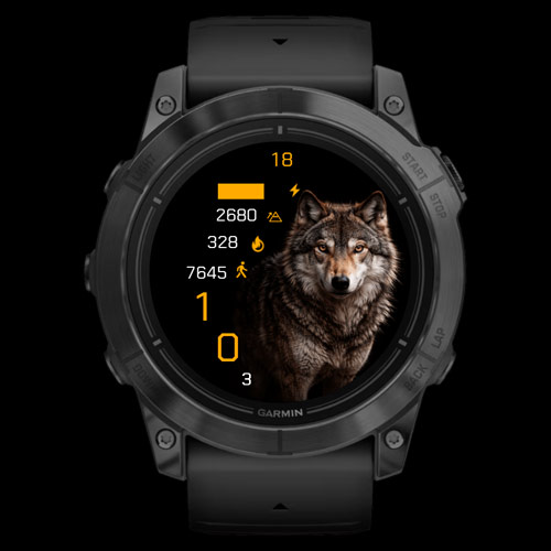 Alpha Wolf · Screenshot 2