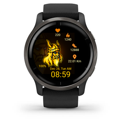 Viking 01 · Screenshot 1