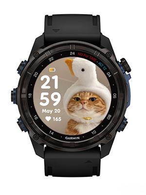 Little silly cat · Screenshot 2