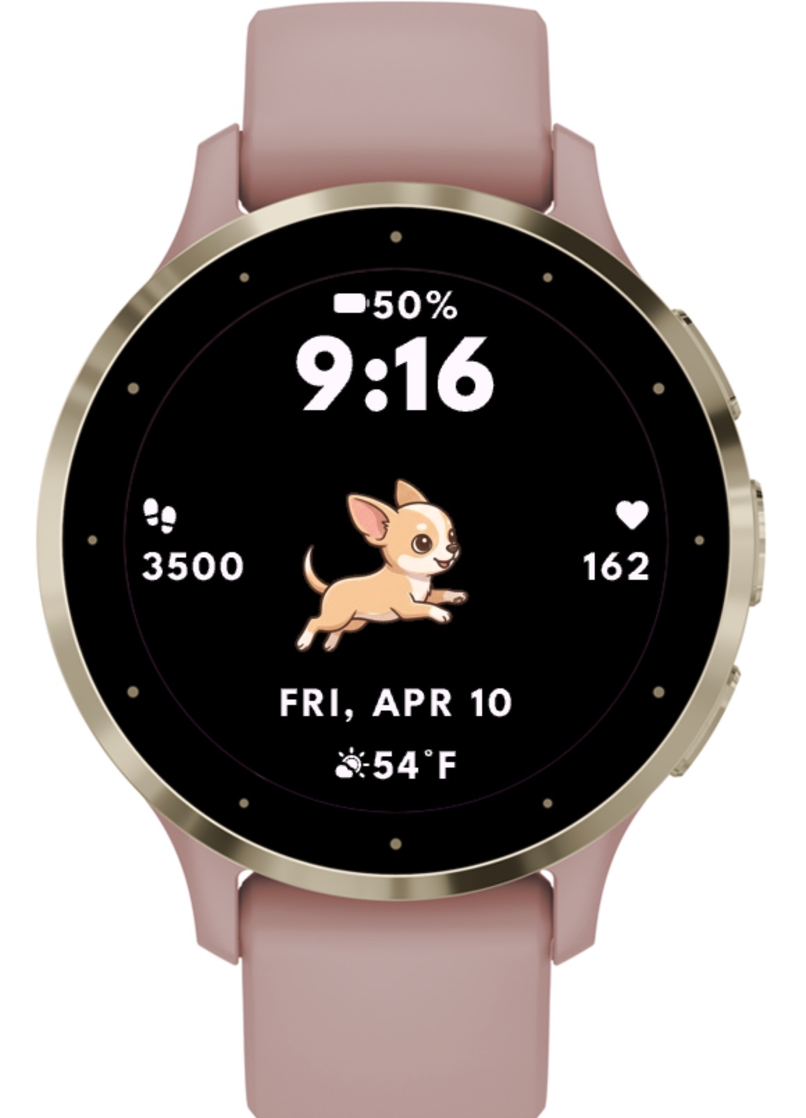Chihuahua Dog - Animated · Screenshot 2