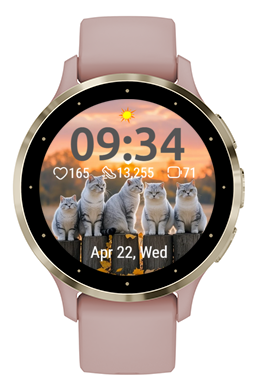 Sunset Cats 4
