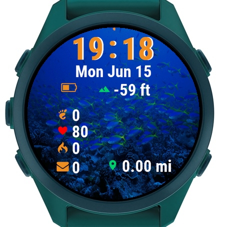 Fish Swimming Over Coral · Screenshot 2