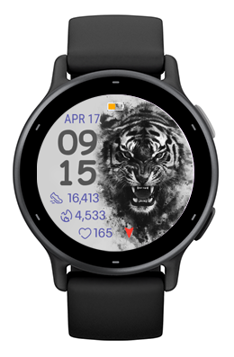 Shadow Tiger 5