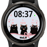 Black cute cat 5