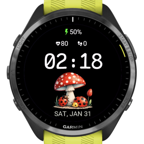 Cute Ladybugs and Mushroom 2