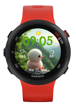 Landscape Duck · Screenshot 0