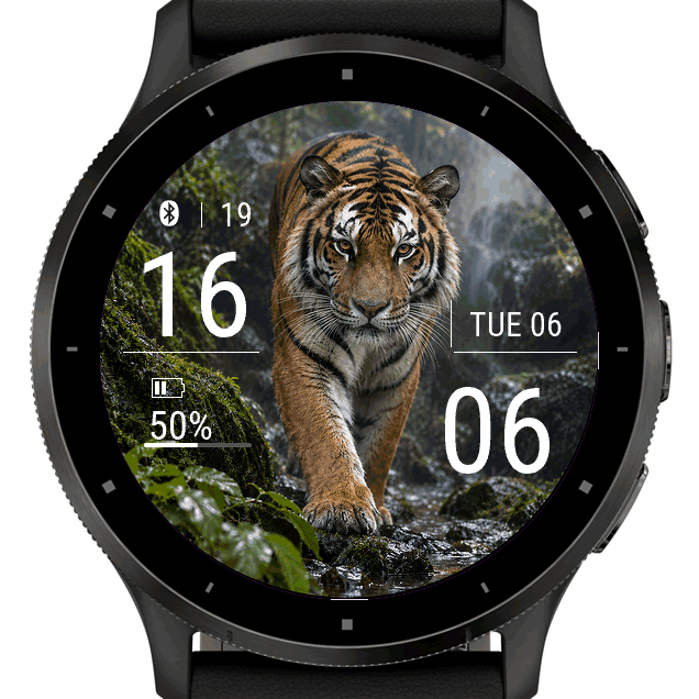 tiger · Screenshot 1