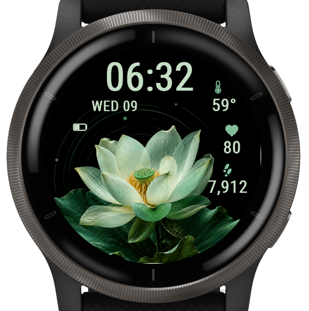 emerald · Screenshot 3