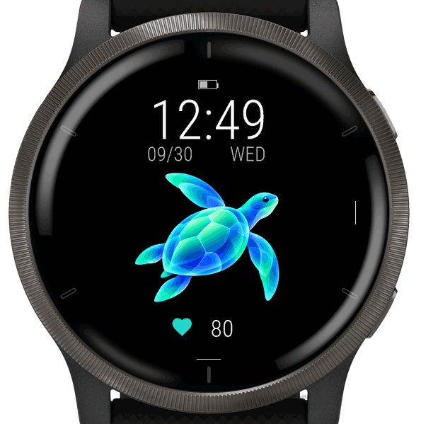 Jade Turtle · Screenshot 3