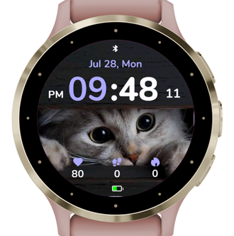 Box Kitty · Screenshot 0