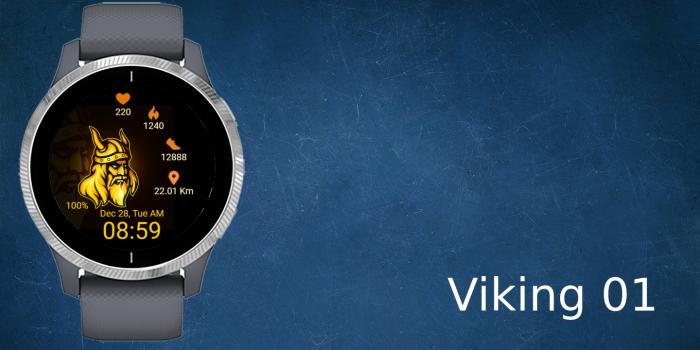 Viking 01 · Screenshot 0