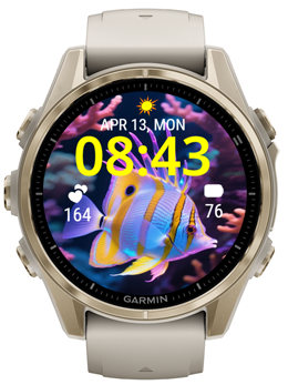 Angel Fish · Screenshot 0