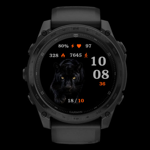 Night Panther · Screenshot 0