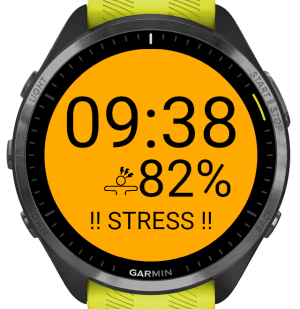 Pacing(Watchface) 5