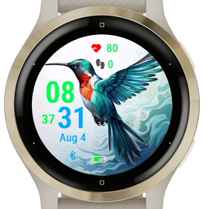 Vivid Hummingbird · Screenshot 1