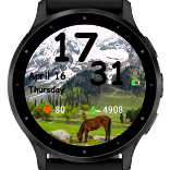Alpine Steed 3