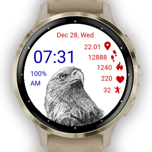 Bald Eagle 01 · Screenshot 1