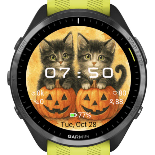 Twin Halloween Kittens · Screenshot 0