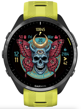 Butterfly Skull 3