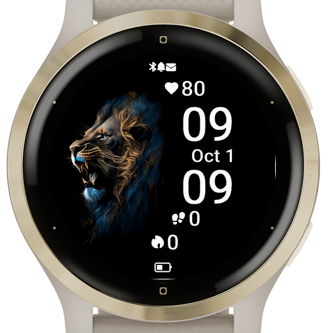 Lion H9 · Screenshot 2