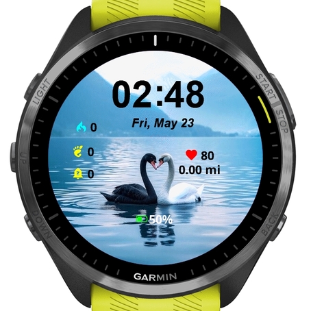 Swans in Love · Screenshot 0
