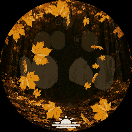 Autumn Focus Trial · Screenshot 1
