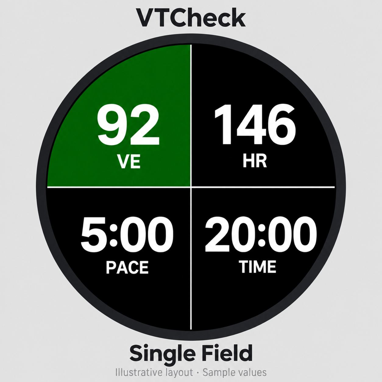 VTCheck Data Field · Screenshot 2