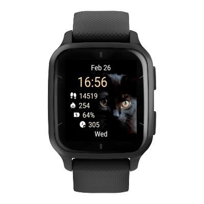 Stray cat · Screenshot 1