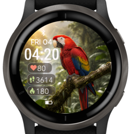 Macaw · Screenshot 2