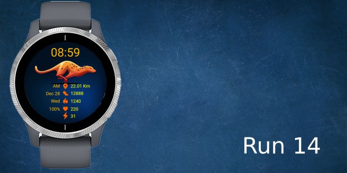 Run 14 · Screenshot 0