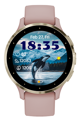 Killer Whale · Screenshot 2