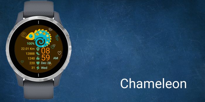 Chameleon Garmin watch face preview