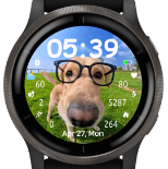 Glasses doggo 5