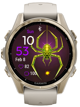 Spider Day · Screenshot 2
