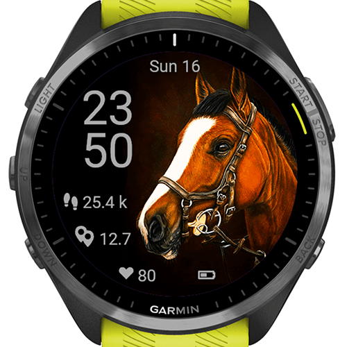 Horse Selfie Majesty G · Screenshot 3