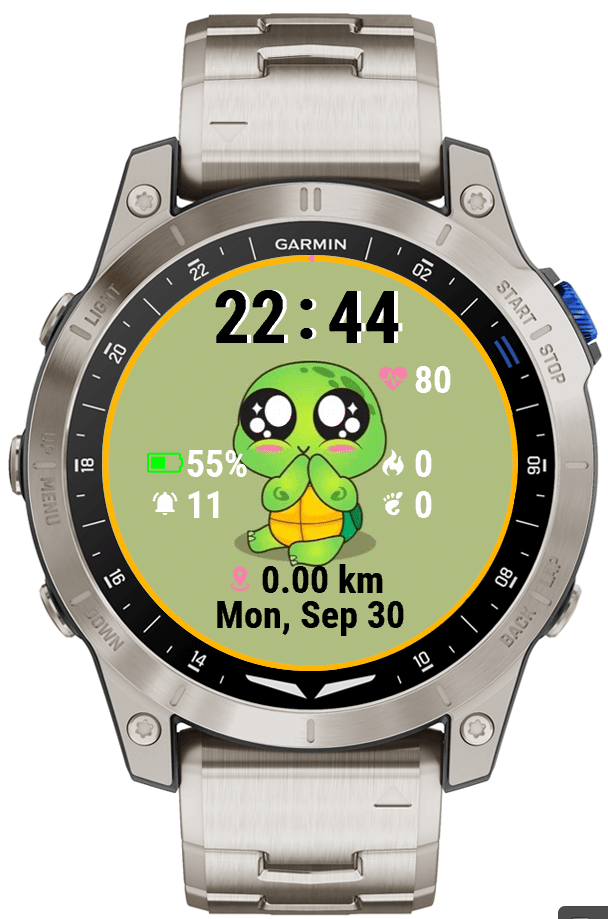 CoolTurtle · Screenshot 0