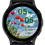 Poppy Sky 3