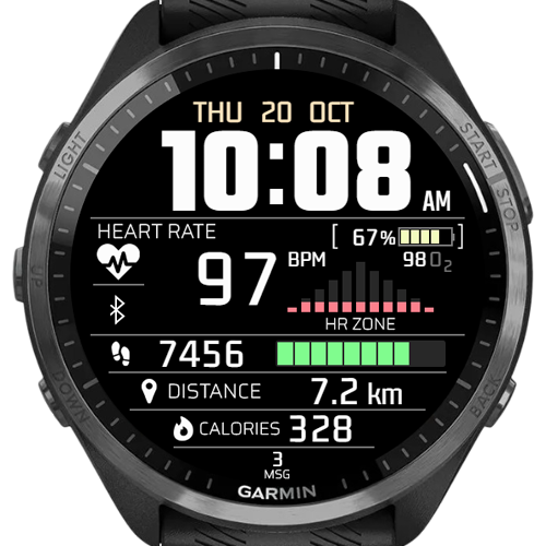 Digital Metric watch face for Forerunner 170