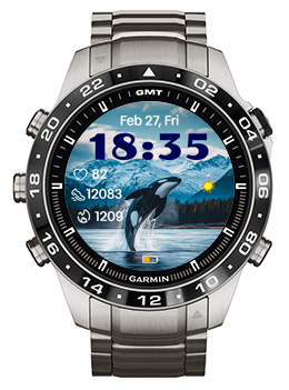 Killer Whale · Screenshot 0